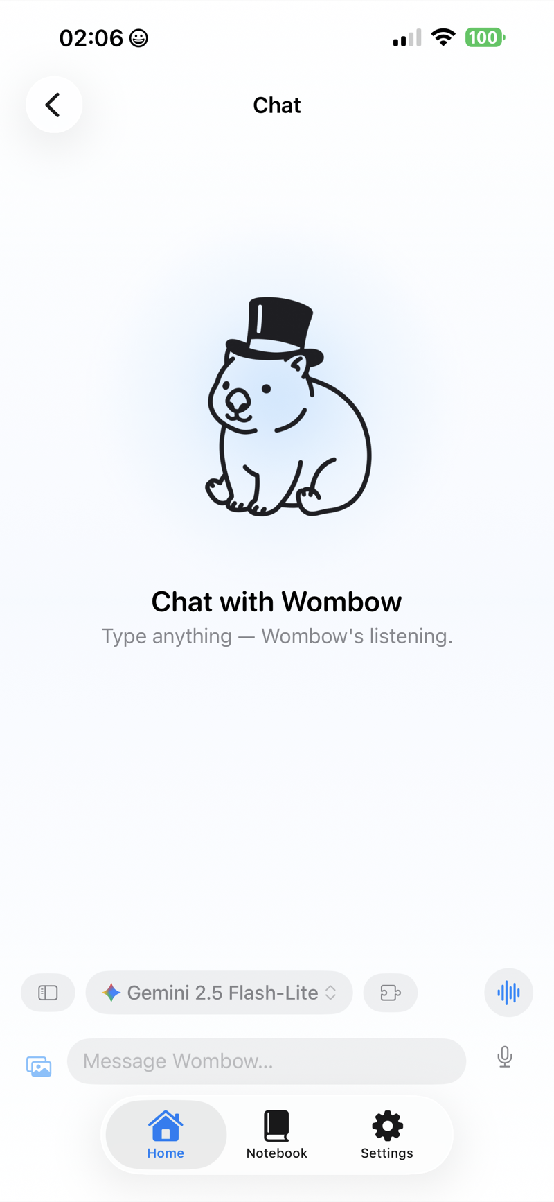 Wombow chat screen: the wombat mascot with a message box and model picker