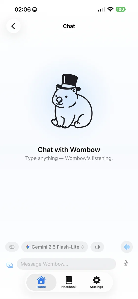 Wombow chat screen: the wombat mascot with a message box and model picker